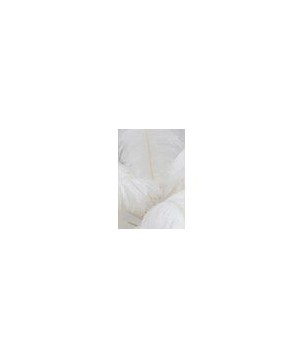 Lampada da terra Feather Palm bianco 165cm