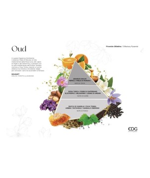 PROFUMATORE BOTT. LUXURY 200ML OUD