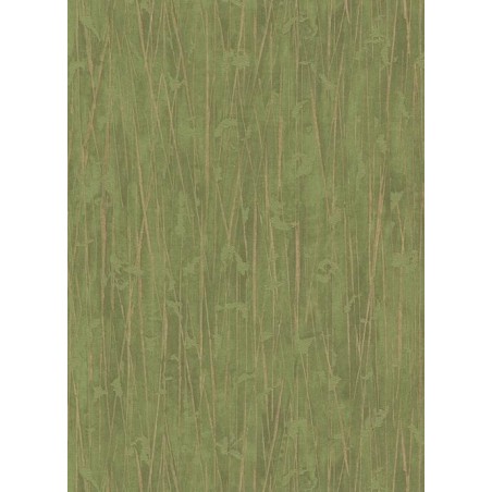 PARATO PARADISIO 10123-07