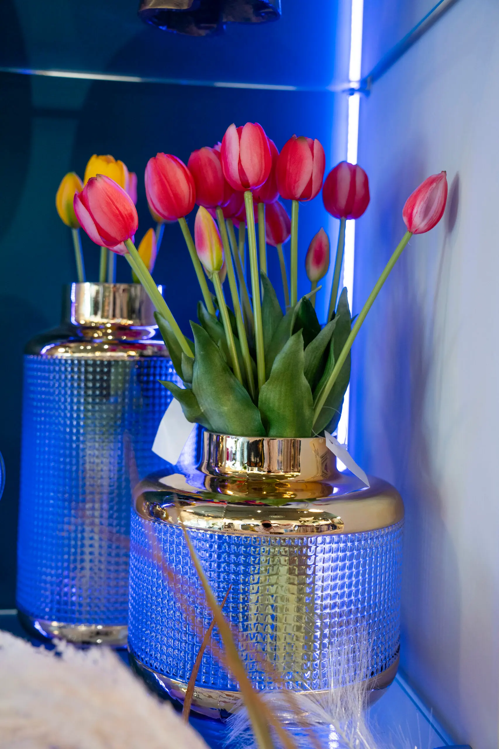 DSC09809